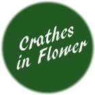 Crathes in Flower